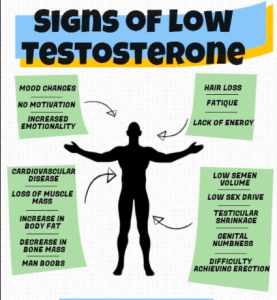 Testerone meaning