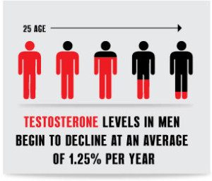 marked decrease of the male hormone testosterone marked decrease of the male hormone testosterone