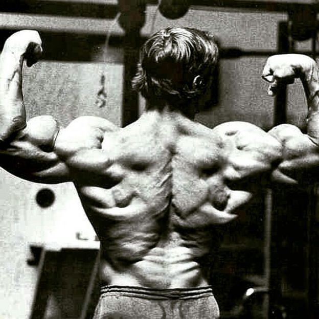 arnold-back-double-bicep.